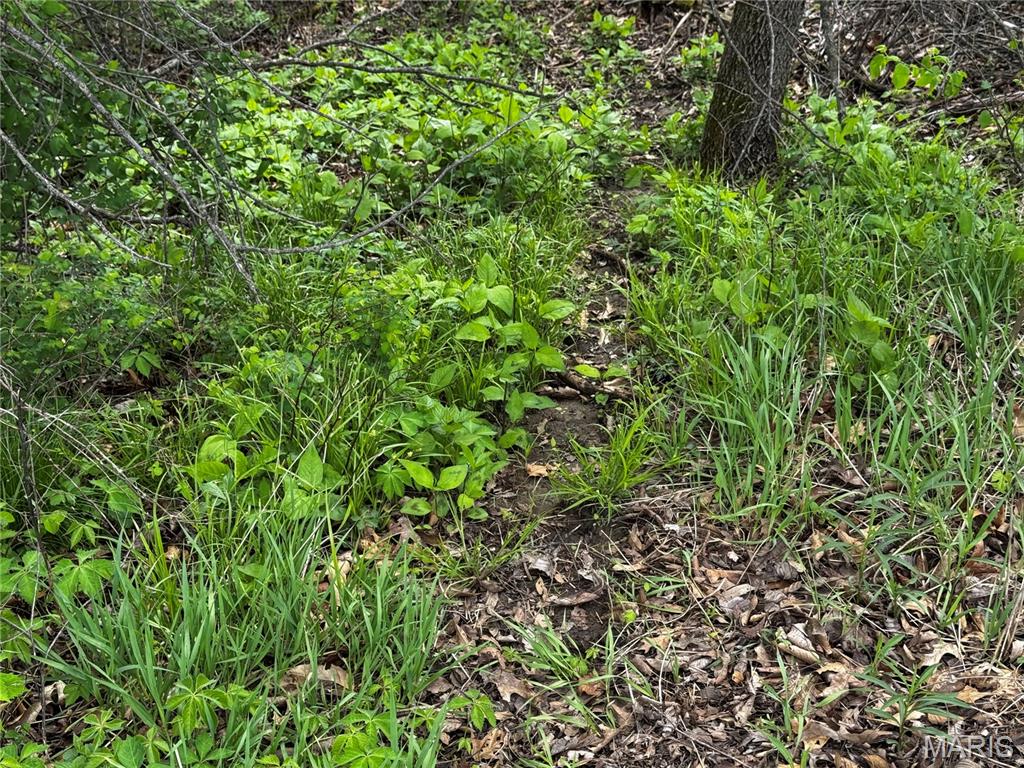 First slide