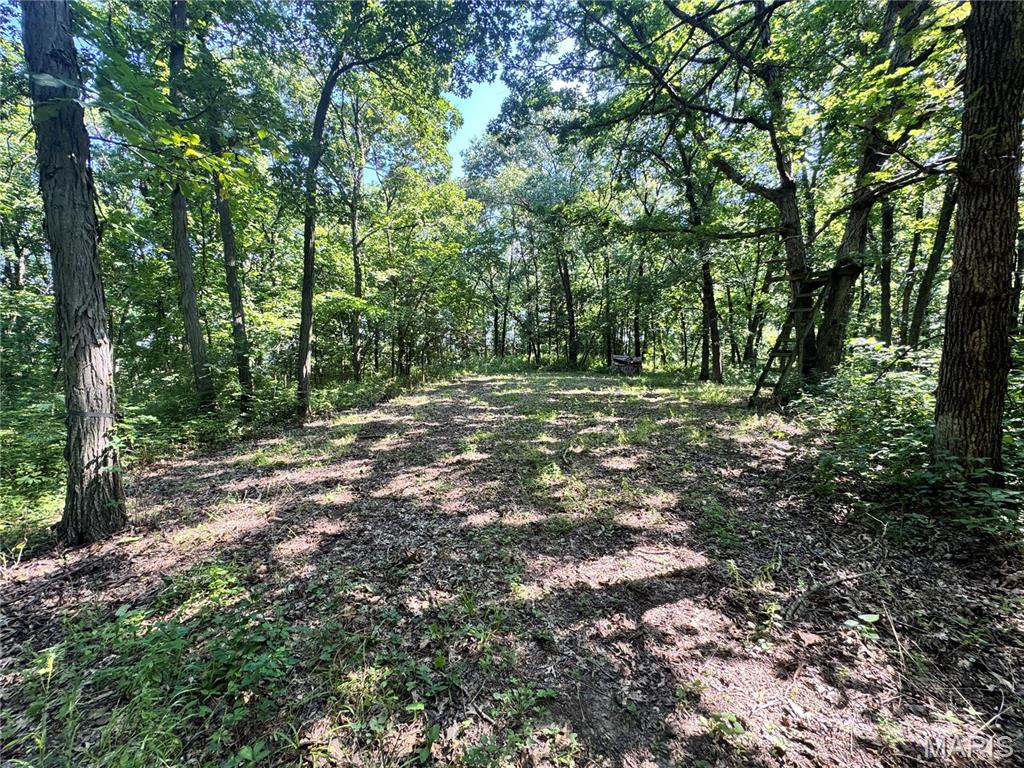 First slide