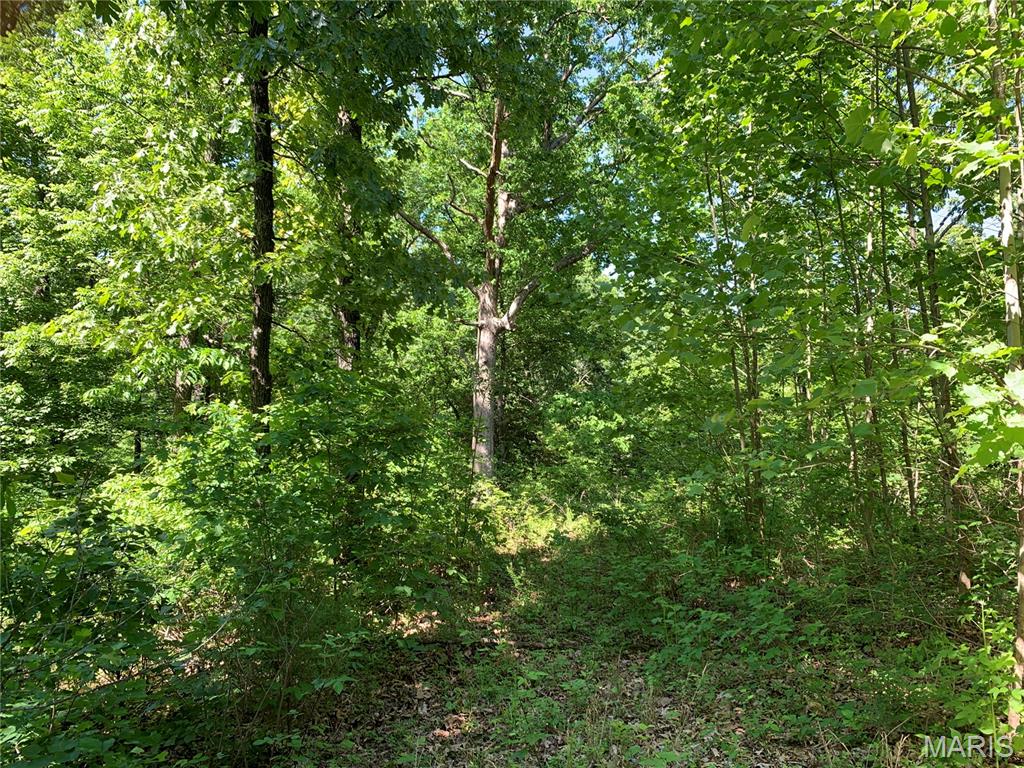 First slide